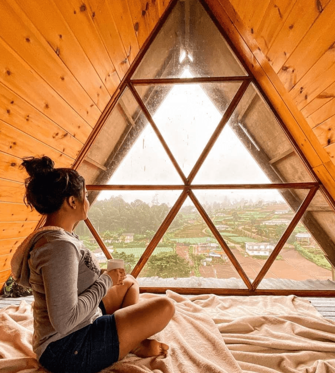 The Vibe cabin — the loft window looking out over the tea fields