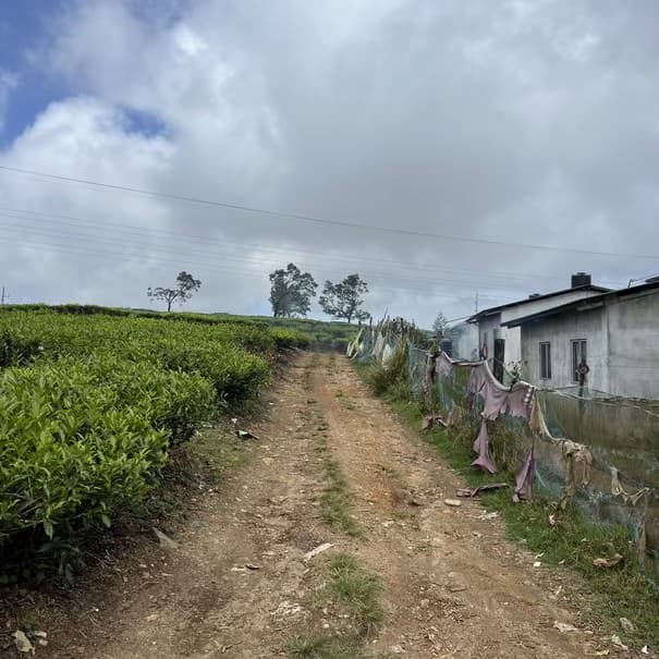 Access road photo photo 1