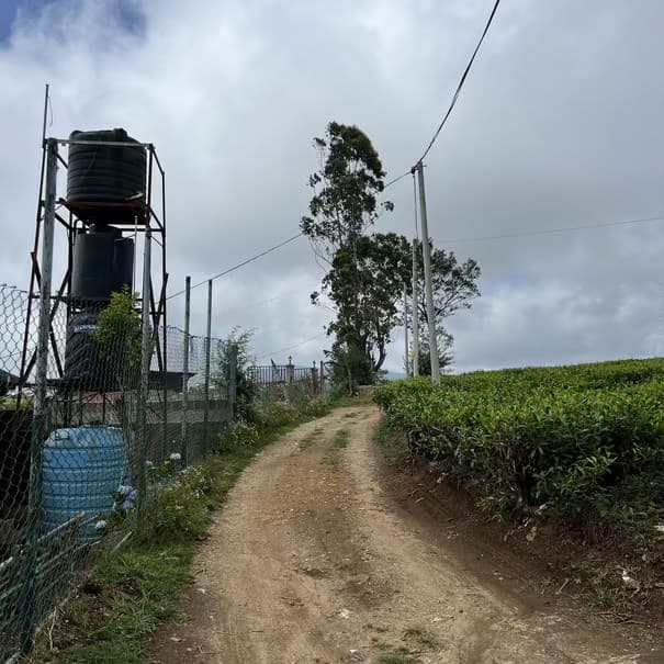 Access road photo photo 2