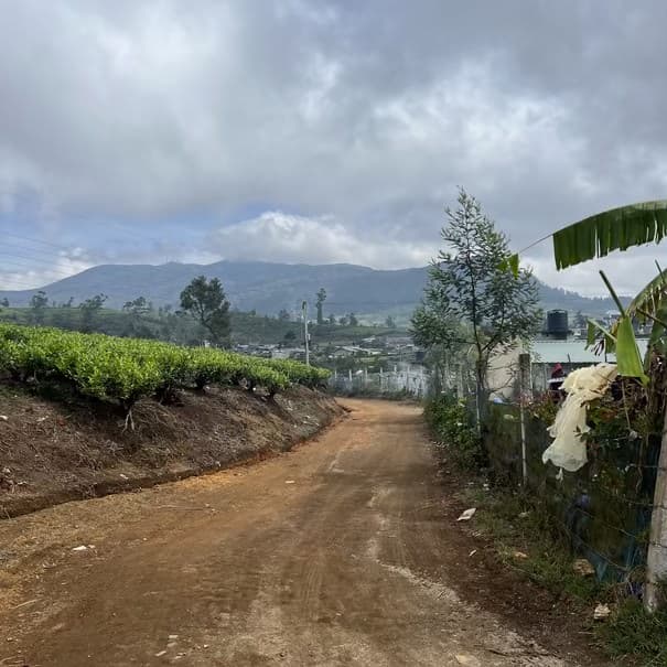 Access road photo photo 3